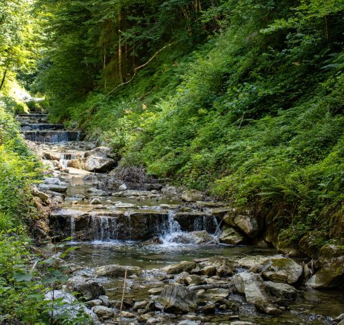 Tegernsee_Stadt_Alpbachtal_Sommer_3 Kopie