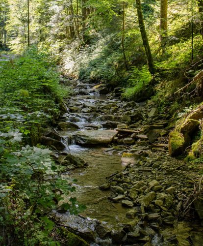 Tegernsee_Stadt_Alpbachtal_Sommer_4 Kopie