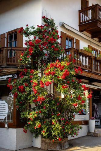 Tegernsee_Stadt_Impressionen_5 Kopie