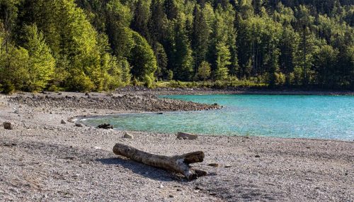 Walchensee_Südufer_Frühling_2 Kopie