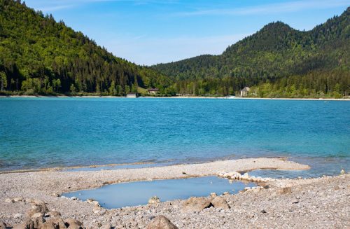 Walchensee_Südufer_Frühling_3 Kopie
